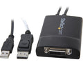 Equip DisplayPort auf DVI-I-Dual-Link Adapter