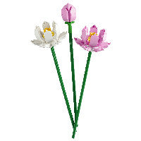 LEGO Botanicals Lotus Flowers – Bild 2