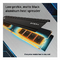 Crucial Pro CP2K16G56C46U5 memory module – Bild 5