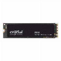 Crucial P310