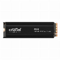 Crucial P310