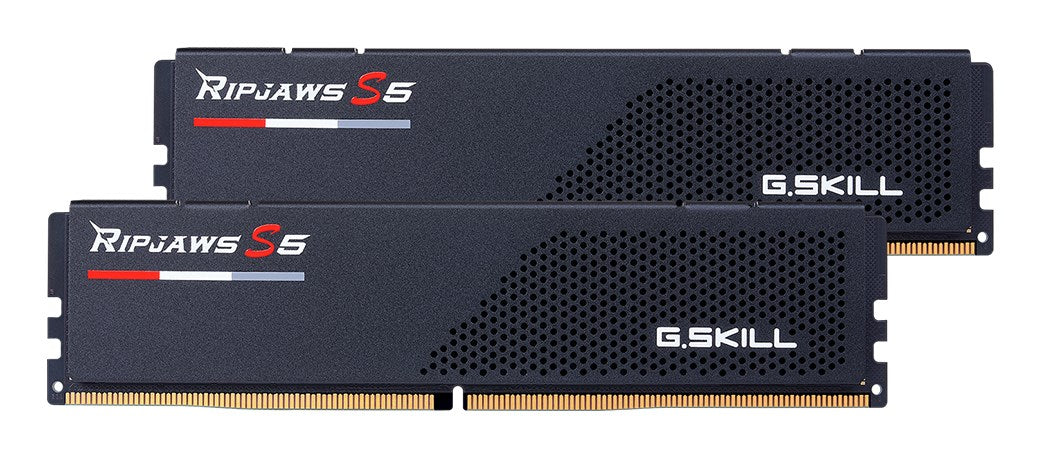 G.Skill Ripjaws memory module