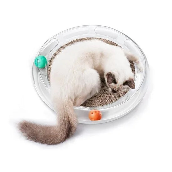 Petkit 4 in 1 Kratzspielzeug