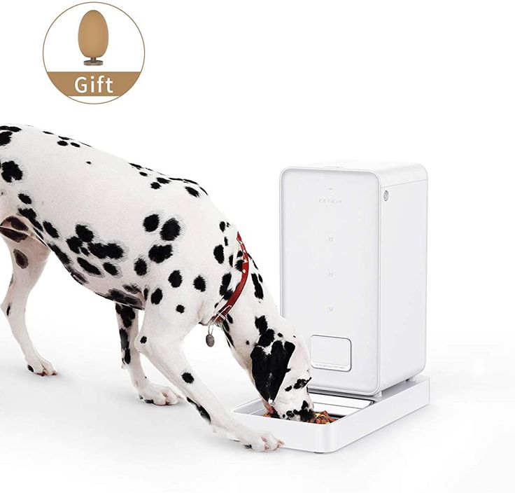 Petkit Ständer für Futterautomat