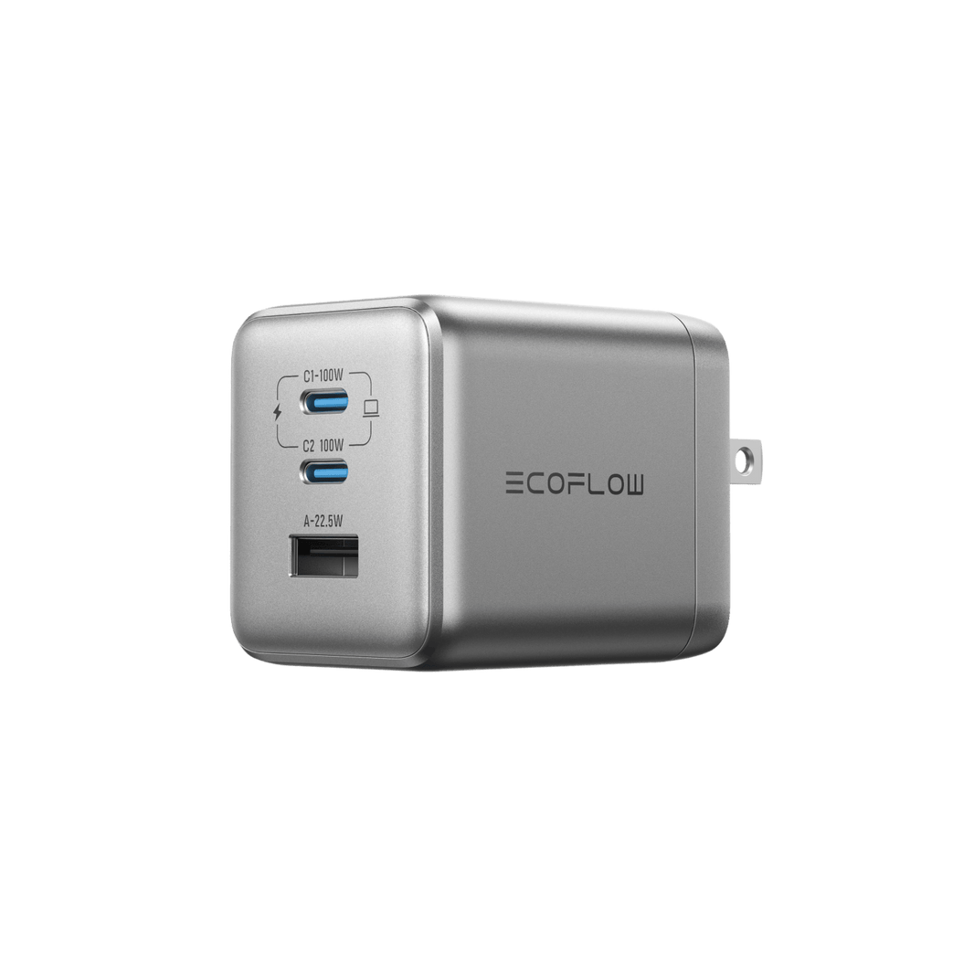 ECOFLOW 100W Charger (No cable)