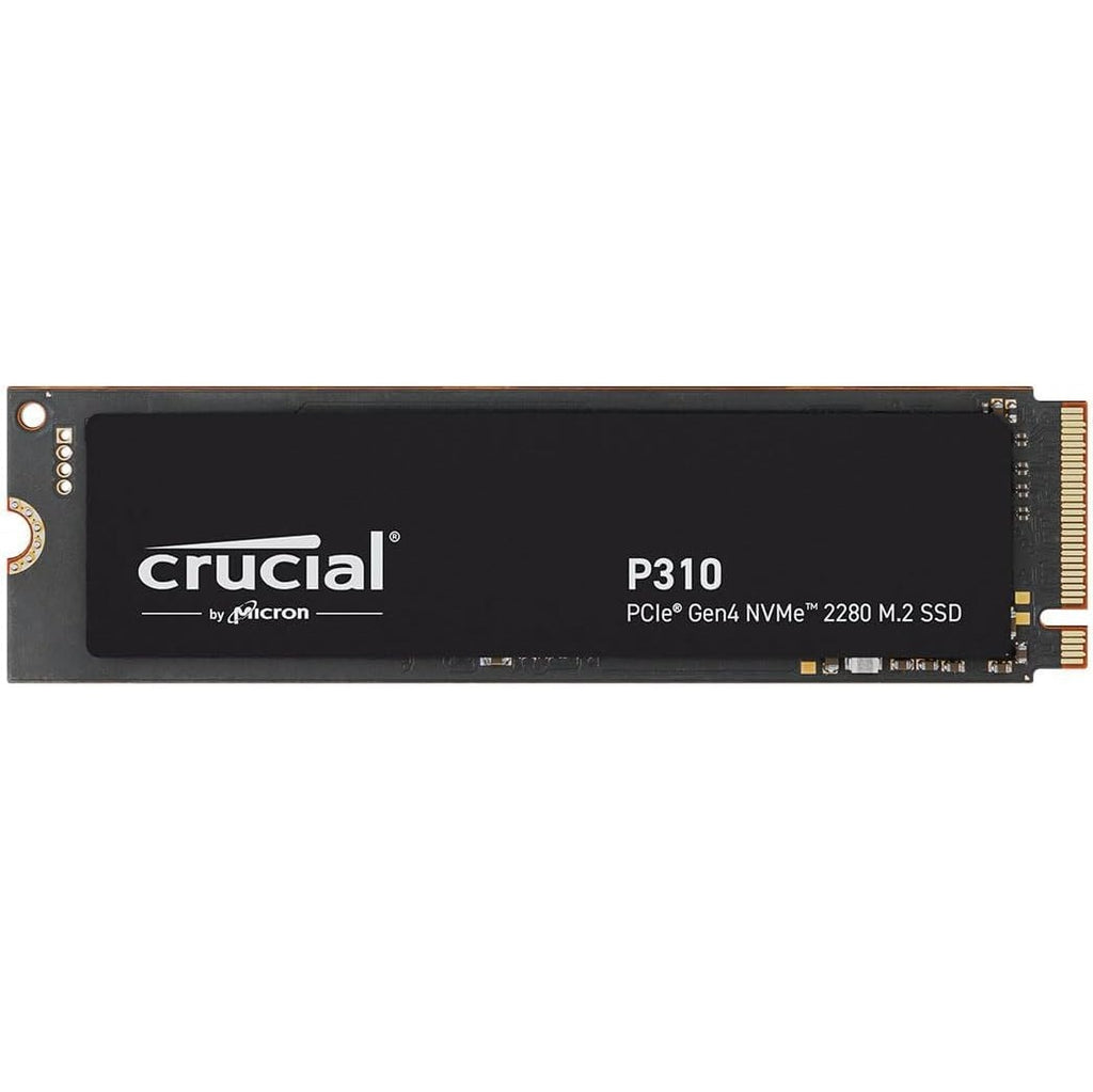 Crucial P310