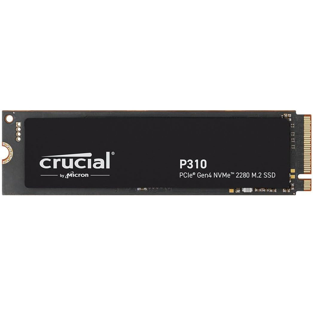 Crucial P310